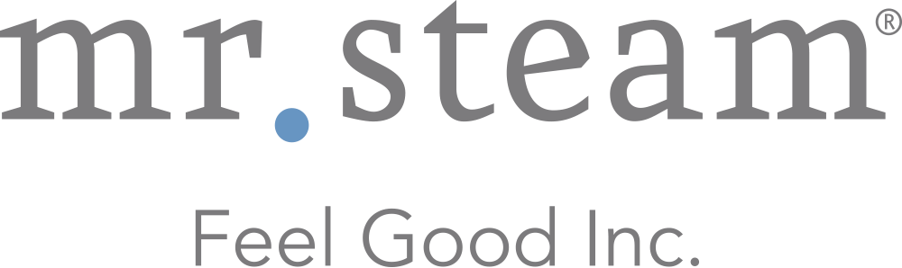logo mr steam logo